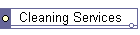 Cleaning Services